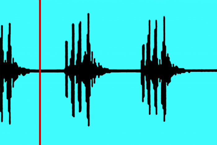 Sonogramme du chant d'appel chez le Grillon champêtre - gryphea.com